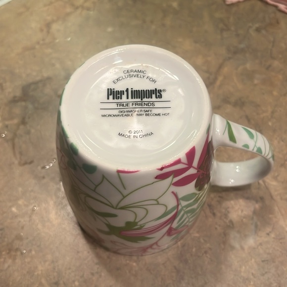 Pier 1 Imports 2013 TRUE FRIENDS Coffee Tea Drink Mug Cup 4.5” T x 3.5” W - Picture 4 of 5